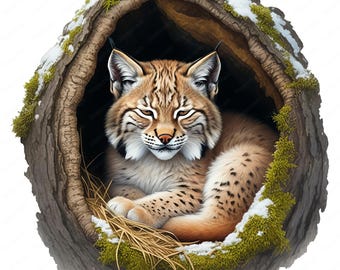 Paquete de imágenes de cachorros de lince invernal: Arte de animales del bosque (descarga digital)