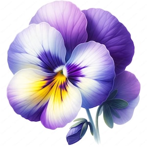 Elegante fiore Clipart / pacchetto clipart 9/10 disegni di alta qualità / arte della parete / artigianato con la carta / abbigliamento / stampe digitali / uso commerciale