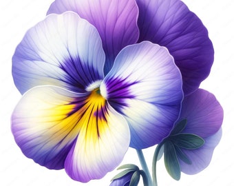 Elegant Flower Clipart | Floral Wall Art, Paper Craft (Digital Download)