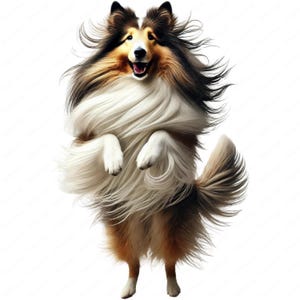 Op de afbeelding: Een pluche, langharige hond met bruin en wit haar springt in de lucht met zijn poten omhoog. De hond heeft een lange staart en een gelukkige uitdrukking op zijn gezicht.