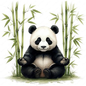 Zen Clipart | Adorable Zen Animal Clipart Bundle | 10 High-quality ...