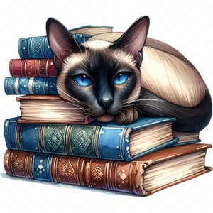 Clipart chat de bibliothèque | 10 modèles de haute qualité | Illustrations de chat rat de bibliothèque | Impressions numériques | Utilisation commerciale