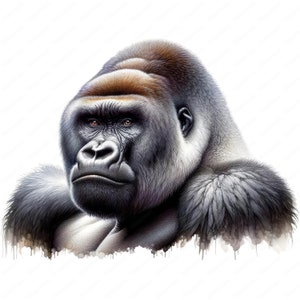 Silverback Gorilla Clipart | Mighty Silverback Gorilla Clipart Bundle | 10 High-quality Designs ...