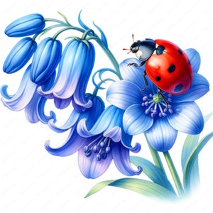 Clipart di coccinelle / Pacchetto di clipart di coccinelle e fiori affascinanti / 10 design di alta qualità / Arte del giardino / Materiali stampabili / Uso commerciale