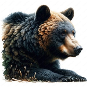 Majestic Black Bear Clipart Bundle: Wildlife Art Printables (Digital Download)