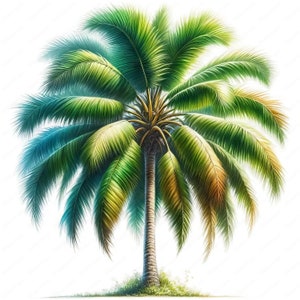 Clipart de palmeras / Paquete de clipart de palmeras tropicales / 10 diseños de alta calidad / Arte con temática de playa / Imprimibles / Uso comercial