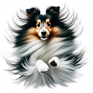 Clipart sheltiehonden | Schattige sheltie-clipartbundel | 10 hoogwaardige ontwerpen | Hondenkunst | Afdrukbare items | Commercieel gebruik
