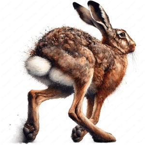 May include: A watercolor painting of a brown hare running with its ears perked up. The hare is depicted in a realistic style with detailed fur and a white tail.