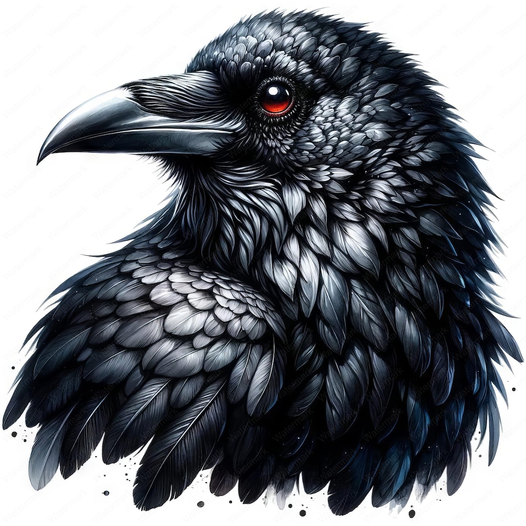 Gothic Raven Clipart Bundle: Dark Art Printable Designs (commercial Use ...
