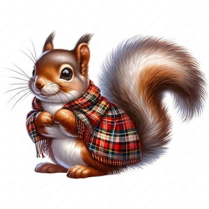 Cute Scottish Squirrel Clipart | Adorable Squirrel Clipart Bundle | 10 ...