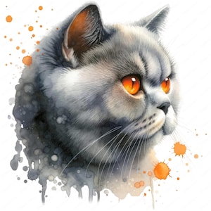 British Shorthair Clipart | 10 High Quality Designs | Wall Art | Paper Craft | Apparel | Junk Journals | Digital Prints | Commercial Use