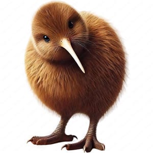 Kiwi Vogel Clipart | Entzückende Kiwi Vogel Clipart Bundle | 10 hochwertige Designs | Vogel Kunst | Drucksachen | Kommerzielle Nutzung