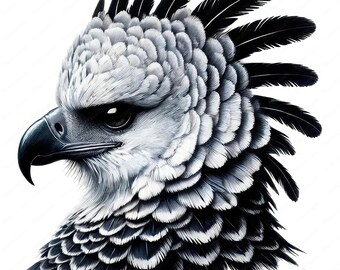 伊*織様 原画 「Lock On Eagle 覚醒の翼」 一点物 鷲 動物画 ポ il_340x270.6362395916_6648.jpg