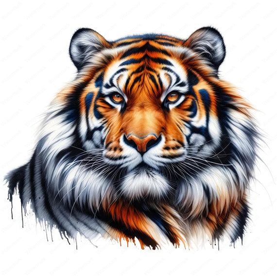 Watercolor Tiger Clipart: Jungle Art Printables (Digital Download)