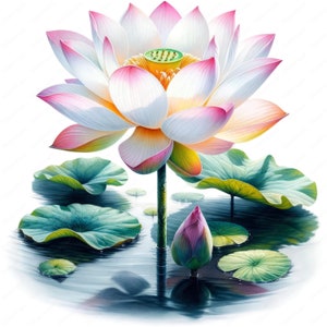 Lotus-clipart | Serene lotus-clipartbundel | 10 hoogwaardige ontwerpen | Bloemsierkunst | Afdrukbare items | Commercieel gebruik