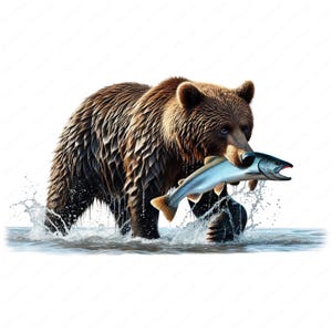 Grizzly Bear Catching Salmon Clipart: Wildlife Art Prints (digital ...