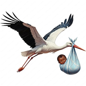 May include: A white stork with black wings carries a baby wrapped in a blue blanket in its beak. The baby has brown skin and dark hair.