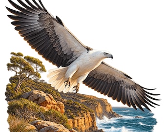 Australian Coastal Clipart Bundle, 15 Wildlife Pride PNG and JPG Designs