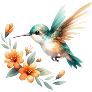 May include: A watercolor painting of a hummingbird with teal and orange feathers, hovering near orange flowers with green leaves. The hummingbird has a long beak and is in flight.