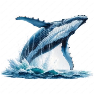 Humpback Whale Clipart Bundle: 10 Marine Art Designs (Digital Download)