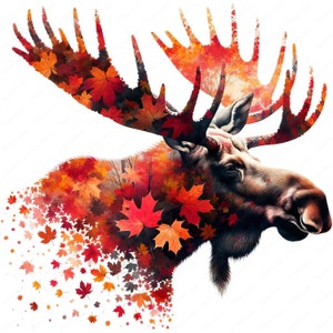 Natürliche Elch Clipart | Majestätisch natürlicher Elch Clipart Bundle | 10 hochwertige Designs | Wildtiere Kunst | Drucksachen | Kommerzielle Nutzung