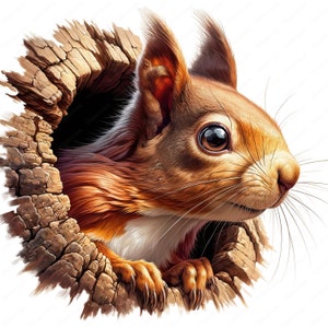 Mysterious Squirrel Clipart Enigmatic Squirrel Clipart Bundle 10