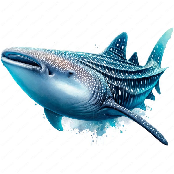 Whale Shark Clipart | Majestic Whale Shark Clipart Bundle | 10 High-Quality Images | Marine Life Art | Printables | Commercial Use