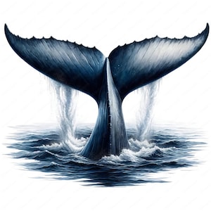 Elegant Whale Tail Clipart Bundle: Marine Art Designs (Digital Download)