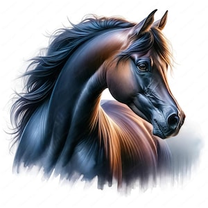 Clipart cheval arabe | Lot de cliparts majestueux cheval arabe | 10 modèles de haute qualité | Art équin | Imprimables | Utilisation commerciale