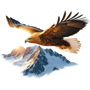 Clipart steenarend | Majestueuze steenarend clipartbundel | 10 hoogwaardige ontwerpen | Natuurkunst | Afdrukbare items | Commercieel gebruik