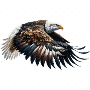Flying Bald Eagle Clipart | Majestic Bald Eagle Clipart Bundle | 10 ...