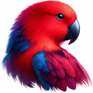 Vrouwelijke Eclectus-clipart | Stralende vrouwelijke Eclectus-clipartbundel | 10 hoogwaardige ontwerpen | Exotische vogelkunst | Afdrukbare items | Commercieel gebruik