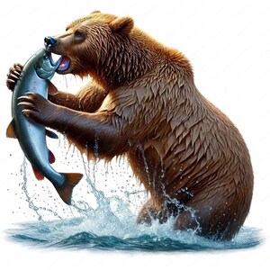 Grizzly Bear Catching Salmon Clipart: Wildlife Art Prints (digital ...