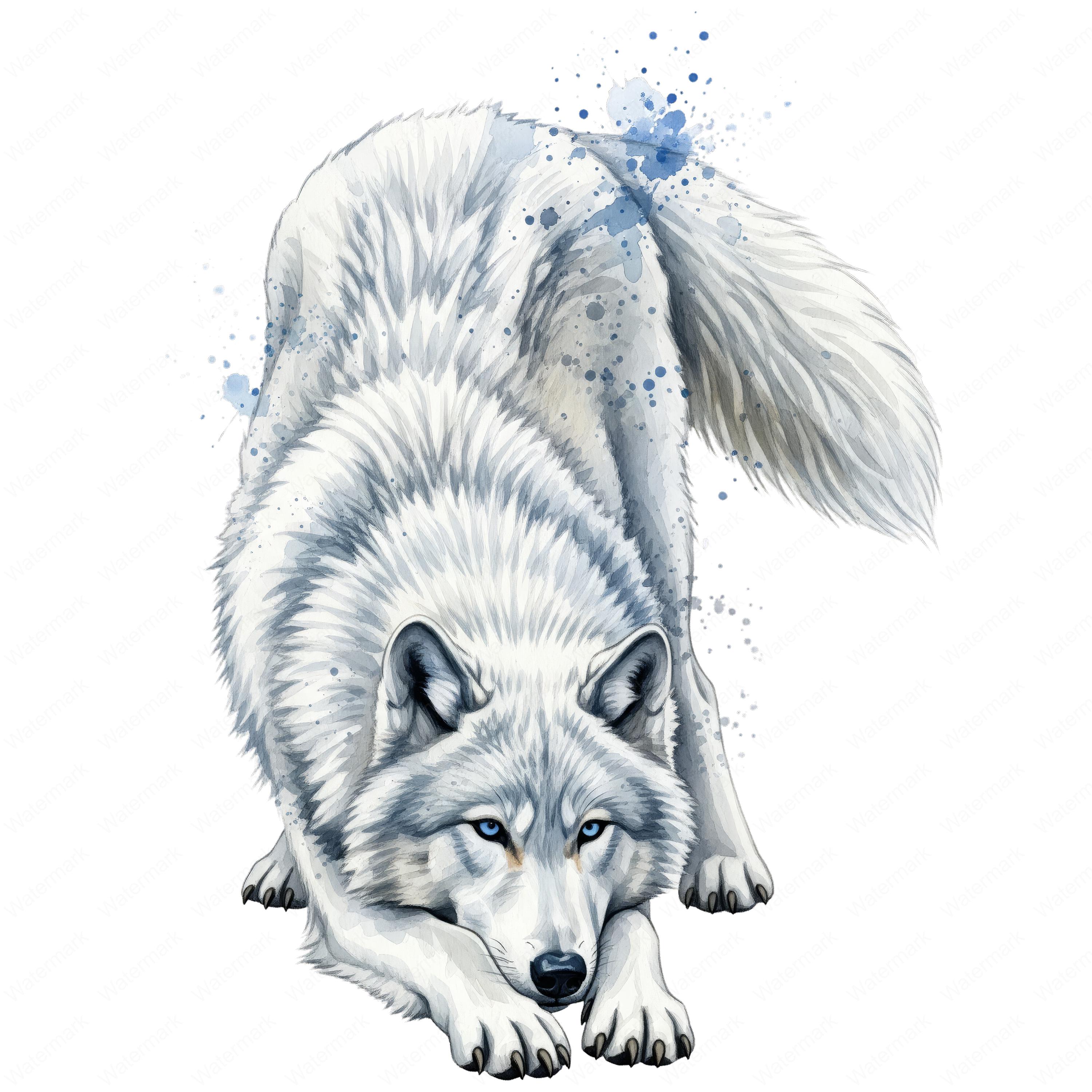 水彩画の北極オオカミのクリップアートPNG：10種類の高解像度デザイン