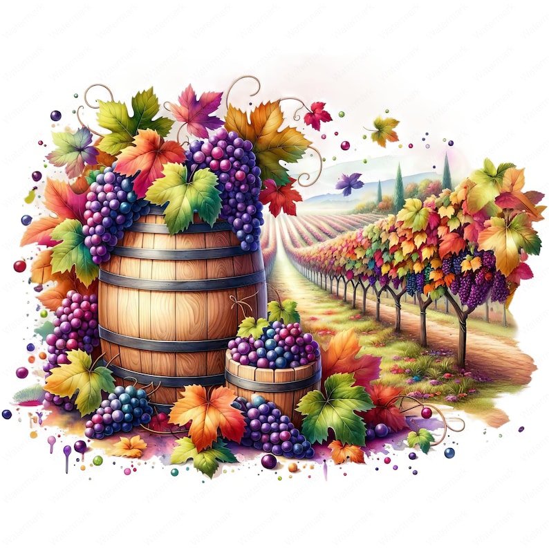 May include: Two wooden barrels filled with purple grapes, surrounded by green and red grapevines. The barrels are in front of a vineyard with rows of grapevines and a dirt path.