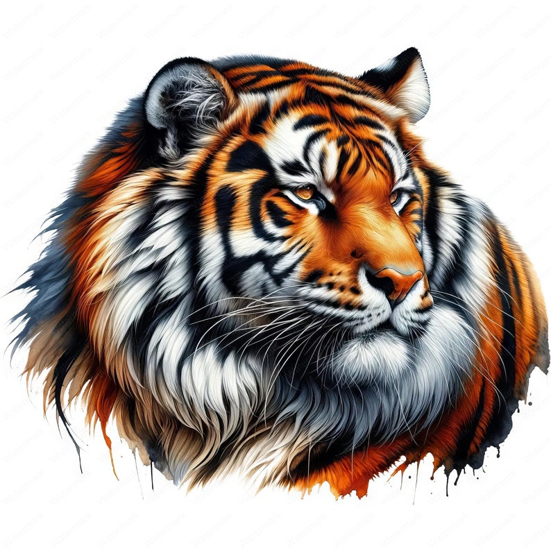 May include: A close-up portrait of a tiger's head with orange and black stripes. The tiger has a white chest and a white patch on its forehead. The tiger's eyes are closed and its mouth is slightly open. The background is white with watercolor splatters.