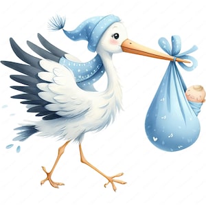 Clipart de baby shower / Paquete de imágenes prediseñadas de adorable bebé niño cigüeña / 10 diseños de alta calidad / Arte para bebé niño / Imprimibles / Uso comercial