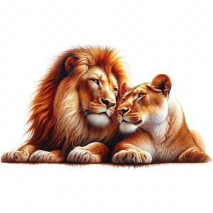 Clipart coppia di leoni / Pacchetto di clipart coppia di leoni romantici / 10 design di alta qualità / Arte dell'amore della fauna selvatica / Materiali stampabili / Uso commerciale