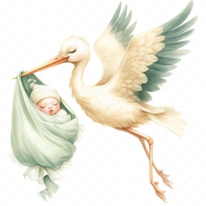 Clipart de cigüeña bebé / Precioso paquete de clipart de cigüeña bebé / 10 diseños de alta calidad / Arte para recién nacidos / Imprimibles / Uso comercial