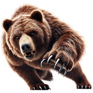 Bear Clipart | Fierce Bear Clipart Bundle | 10 High-Quality Designs | Wildlife Art | Printables | Commercial Use
