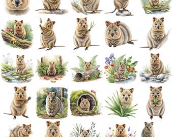 Watercolor Quokka Clipart, Cute Animal PNG Graphics (Commercial Use)