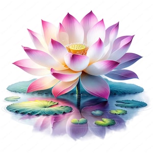 May include: A pink and white lotus flower with a yellow center blooms in a pond with green lily pads. The flower is reflected in the water.