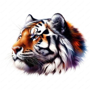 May include: A close-up of a tiger's head, with orange, black, and white stripes. The tiger is looking to the right, with its mouth closed and its eyes open. The background is white.