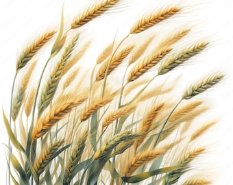 Elegant Wheat Clipart Bundle: Harvest Art Printables (Digital Download)