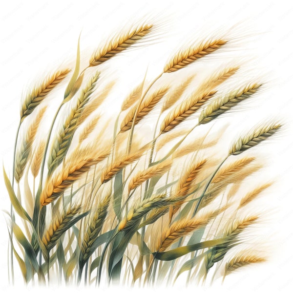 Wheat Field Clipart | Clipart Bundle | 10 Breathtaking Images | Farm Art | Crafts | Apparel | Digital Prints | Commercial Use