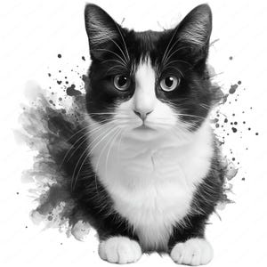 Clipart chat aquarelle | Ensemble PNG félin noir et blanc | 10 modèles de haute qualité | Art de la sublimation | Utilisation commerciale
