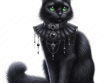 May include: A black cat with green eyes wearing a black velvet collar with silver and black embellishments.