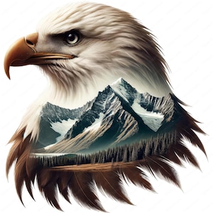 Clipart aquila / Majestic Eagle Clipart Bundle / 10 design di alta qualità / Arte della natura / Stampabili / Uso commerciale