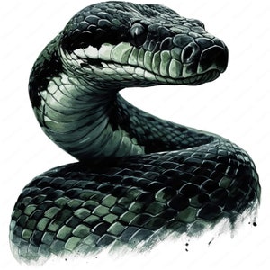 Puede incluir: Primer plano de una serpiente verde con marcas negras. La serpiente está enroscada y su cabeza está levantada, mirando directamente al espectador.