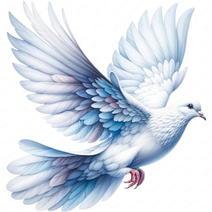 Dove Clipart | Pacote Serene Dove Clipart 02 | 10 designs de alta qualidade | Arte com tema de paz | Imprimíveis | Uso comercial